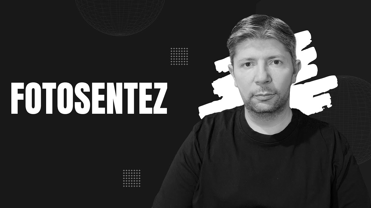 Fotosentez #biyoloji #aytbiyoloji #fotosentez  #enerjidönüşümleri #aytbiyolojikonuları #bilgisarmal