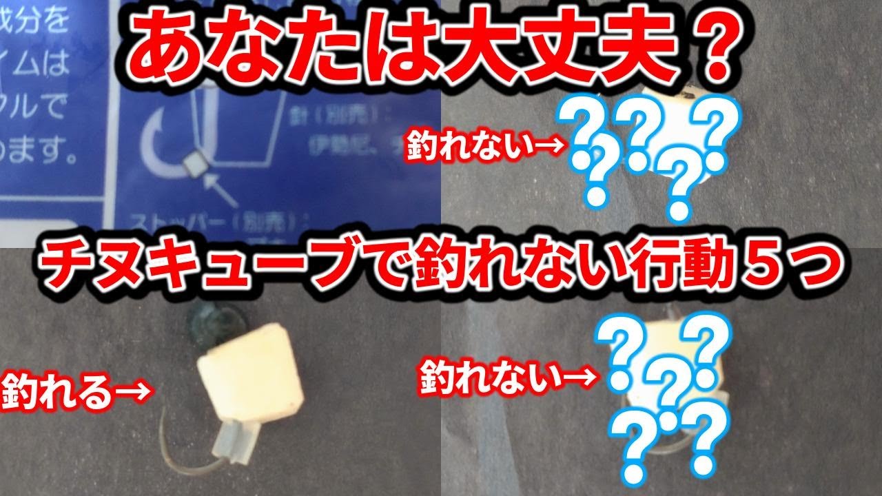 Chinu Cube] Are you okay? 5 things people who can't catch fish