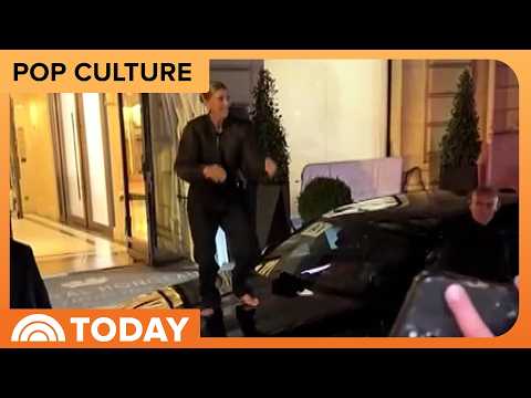 Céline Dion Climbs Onto Car Barefoot and Sings With Fans
