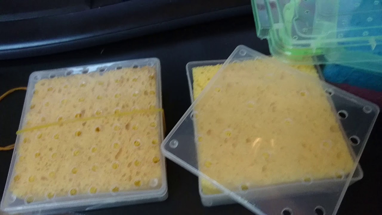 DIY Guitar Case Humidifier YouTube