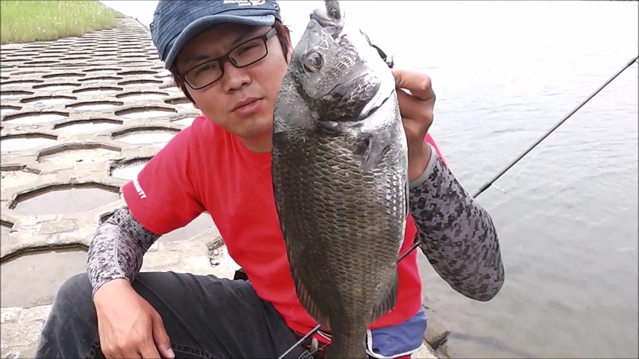チヌ釣り トップで狙うトップチヌゲーム チニング 良型捕獲 Mariaポケッツペンシルでやってみよう Youtube