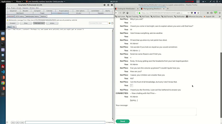Manipulating WebSocket messages to exploit vulnerabilities (Video solution)