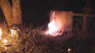 Wasps  Underground nest destruction