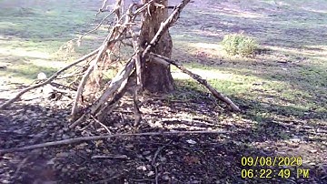 Sasquatch Interior B.C.   " Structure"...