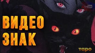 видео: 🔮🩸ЭТО ВИДЕО ТВОЙ ЗНАК🧿☎️СРОЧНО УЗНАТЬ🚀🚀 картинка: 🔮🩸ЭТО ВИДЕО ТВОЙ ЗНАК🧿☎️СРОЧНО УЗНАТЬ🚀🚀
