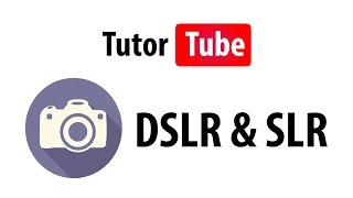 SLR Camera and DSLR Camera   The Difference screenshot 5