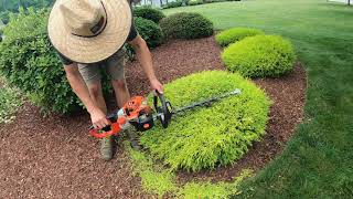 $360 Hedge Trimming Job