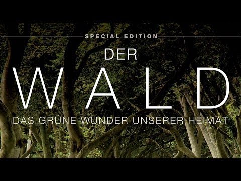 Der Wald - Das grüne Wunder unserer Heimat 2012 Dokumentation | Film deutsch