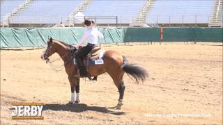 Maggie Cincotta College Reining Recruiting Video 2016
