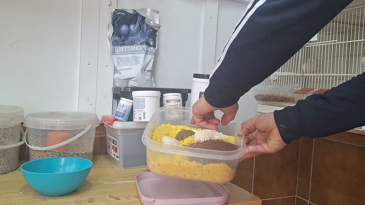 Pasta de cría suplementada