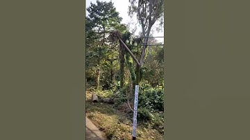 University of Kalyani entrance