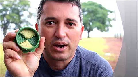 Quando o IVD índice visual de dormência está com 62% podemos Vernalizar o alho?