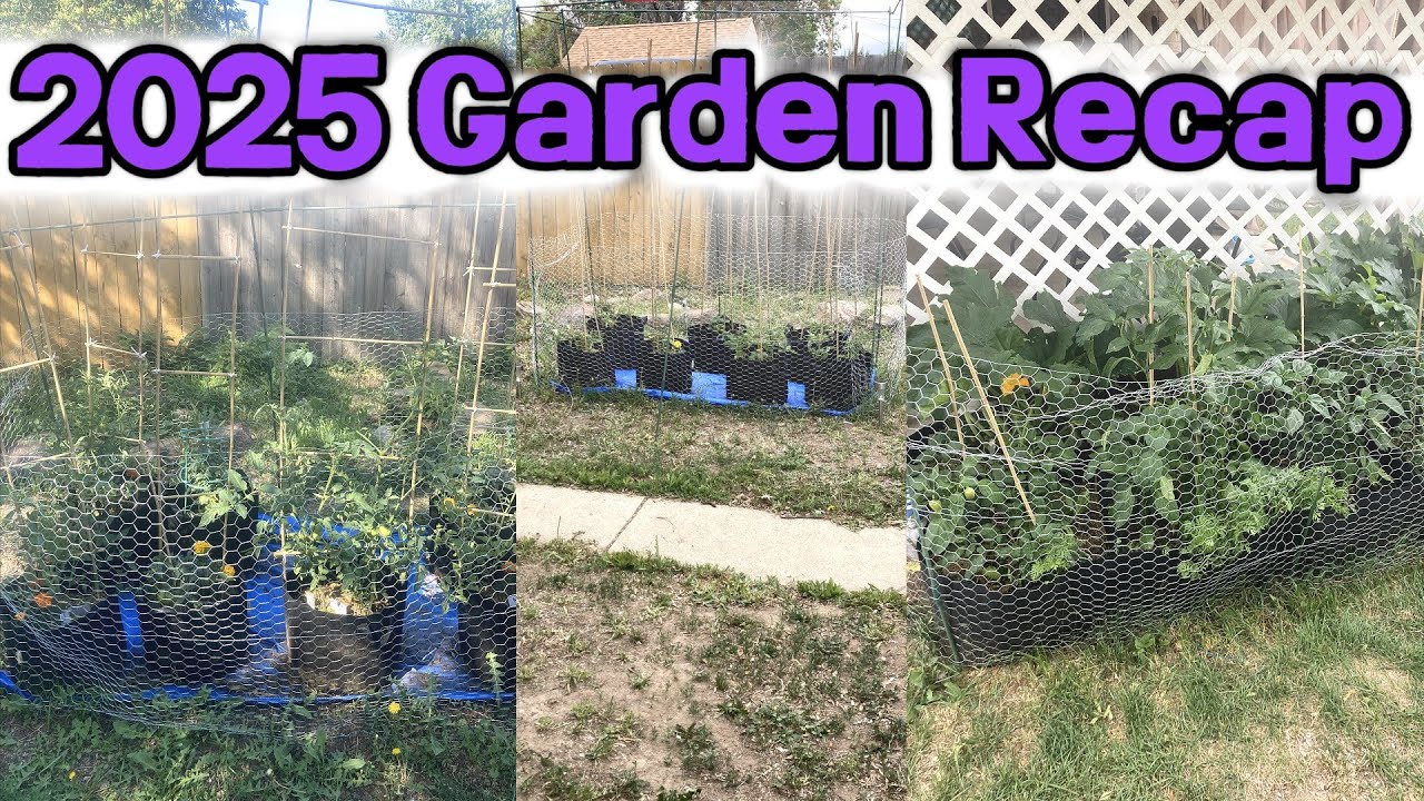 2025 Garden Recap