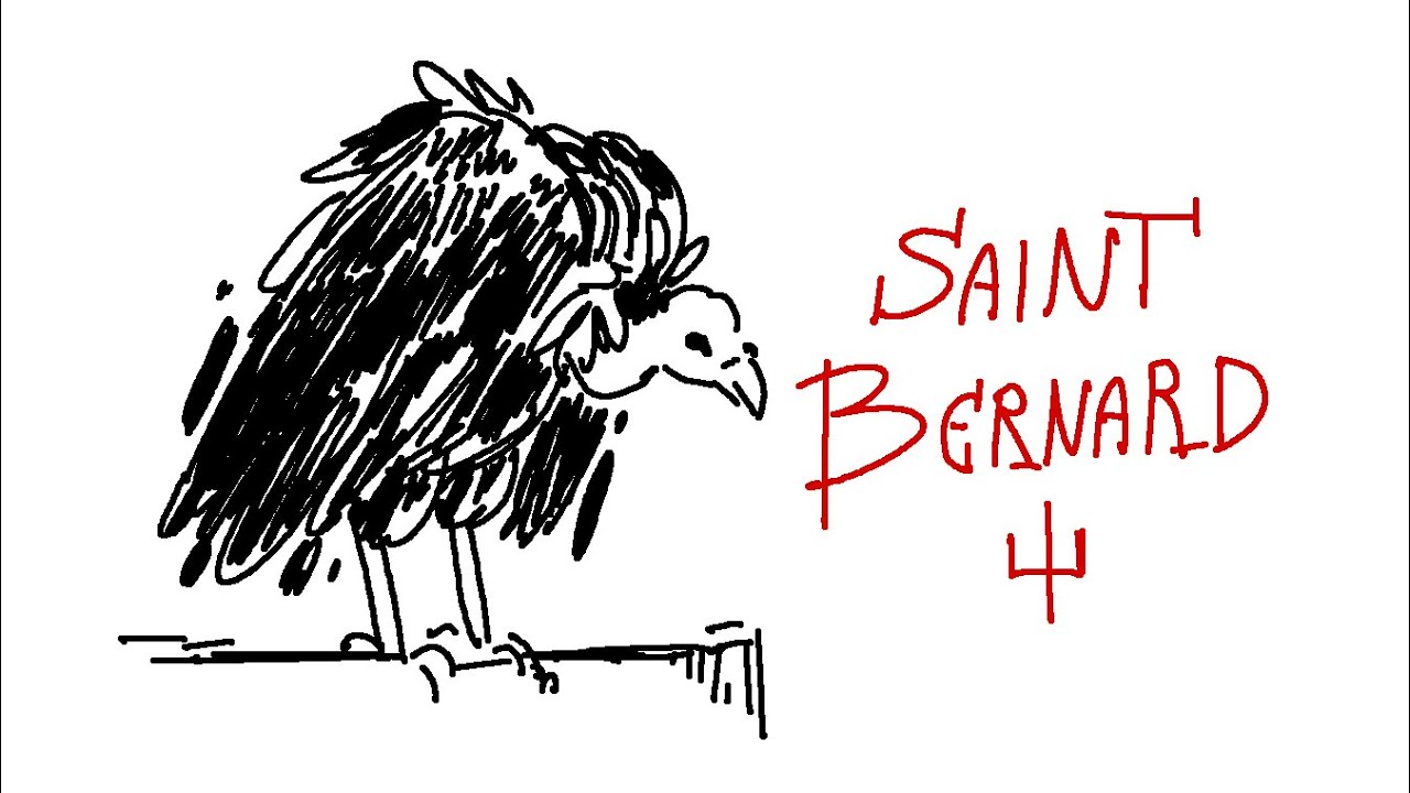 Saint bernard lincoln перевод Saint bernard lincoln перевод