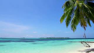 Dj Ls3000 - Brasilero