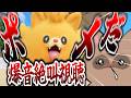 ポメに負けて滅茶苦茶バズっちゃったたぬきの全容 Pokémon Presents同時視聴