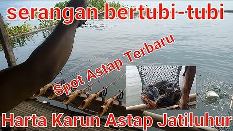 Mancing Jatiluhur Terbaru | Spot Astap memang mantap Super Strike bertubi-tubi