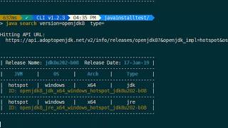 CommandBox 4 5 Advanced Server OpenJDK Management