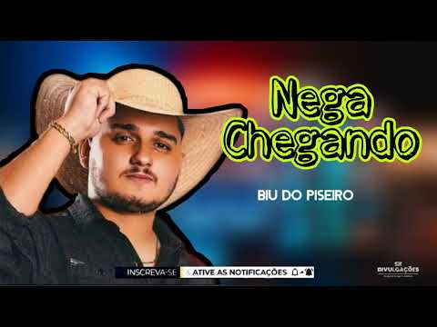 Biu Do Piseiro - Nega Chegando