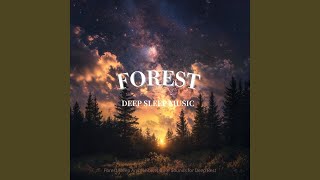 Sunset Harmony: Lofi Jazz (Forest Sounds)