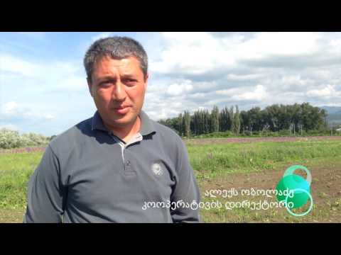 მიწასთან დაბრუნება