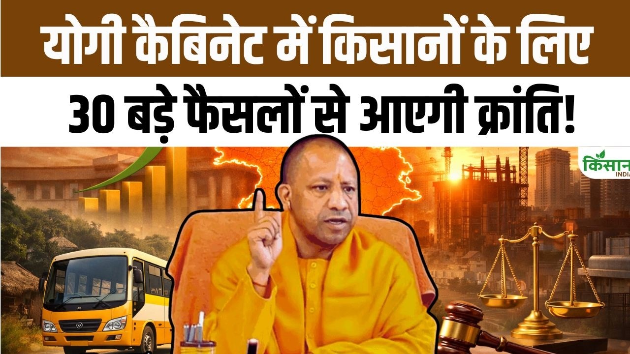 Yogi Cabinet Meeting: योगी कैबिनेट में गांवों और किसानों के लिए 30 बड़े फैसलों से आएगी बड़ी क्रांति
