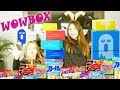Wowbox fun and tasty  kawaii box unboxing dsgustation  japan yummy food