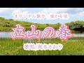 立山の春(葵かを里さん)唄/真木さおり