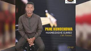 Ngonidzashe Gumbo -Matipa (Pane kunoendwa Album)August 2019