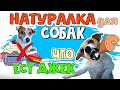 ЧЕМ КОРМИТЬ СОБАКУ НА НАТУРАЛКЕ. Как правильно кормить собаку натуралкой. Рацион питания собаки