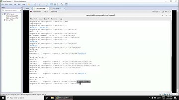 022. Linux Capsule - LSA 1-1 - Capsule 2 - Section 3 - Managing Files ( Part 3 )