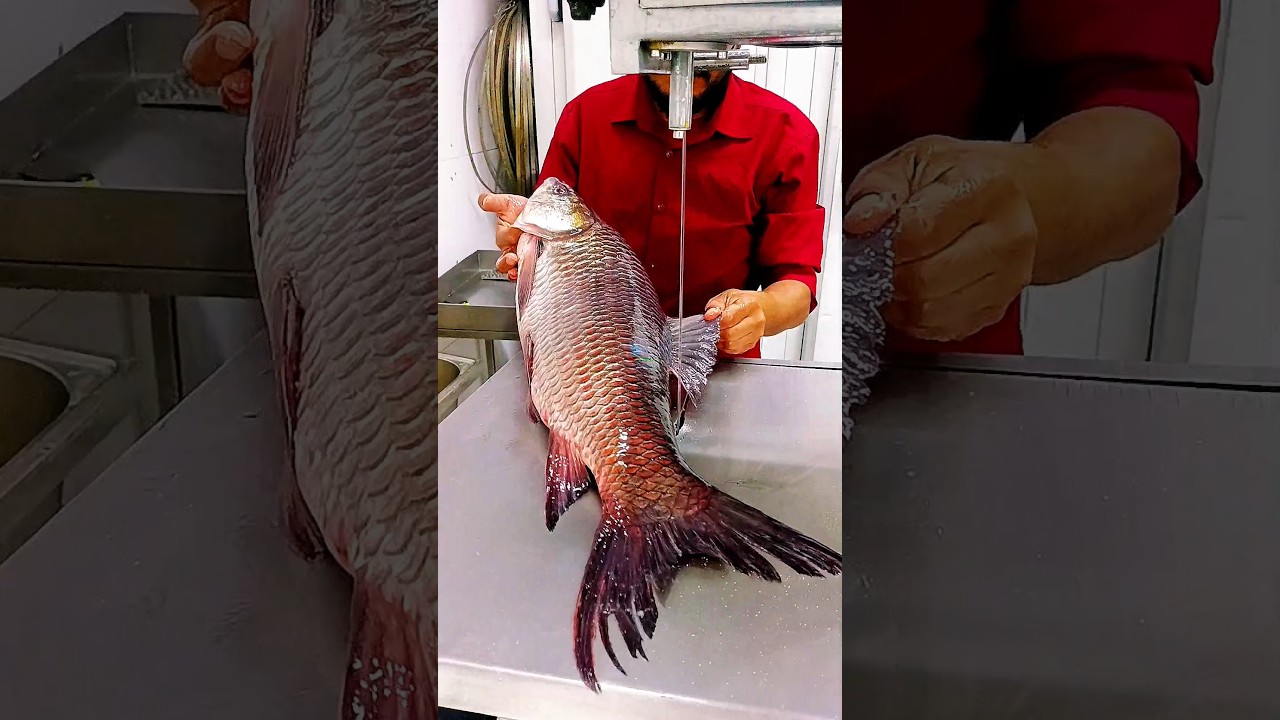 Massive giant River rohu fish cutting skills amazing video 