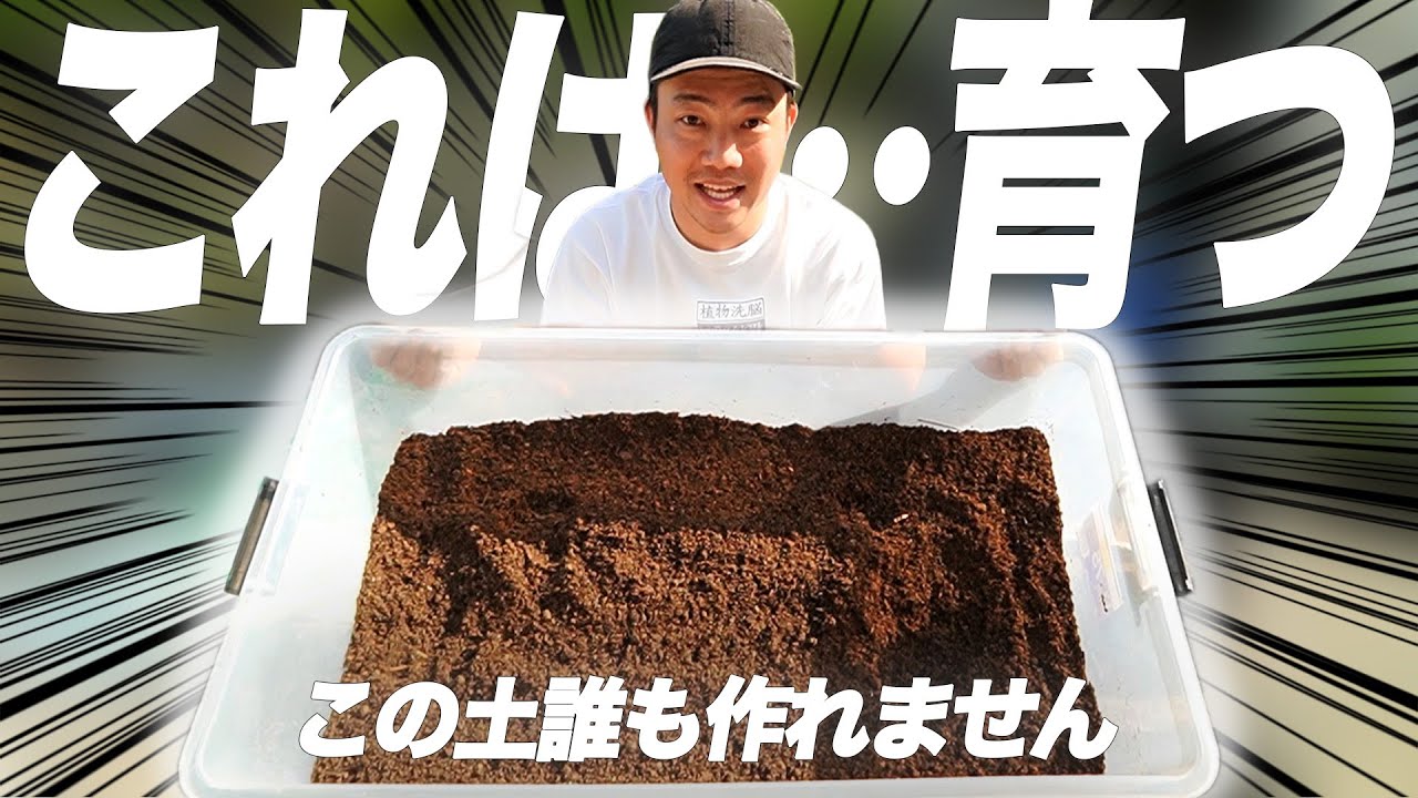 【決定版】絶対に真似できないけど植物が絶対超育つ土作ったので大公開します。[アガベ][観葉植物]