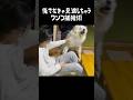 愛犬を鮮やかに捕獲する飼い主　#greatpyrenees #大型犬のいる生活 #大型犬 #大型犬と暮らす #グレートピレニーズ #癒し #愛犬 #犬のいる生活 #可愛い #大型犬仔犬