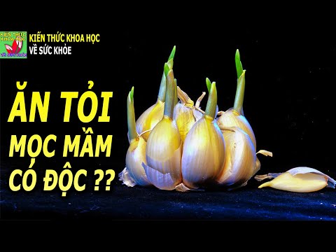 Video Tỏi mọc mầm có ăn được không ăn tỏi mọc mầm có sao... - youtube