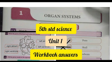 5th std Science unit 1 Organ systems Term 1 workbook answers #ennumezhuthum