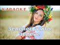 Зеленеє жито зелене КАРАОКЕ текст пісні та мп3 в описі під відео