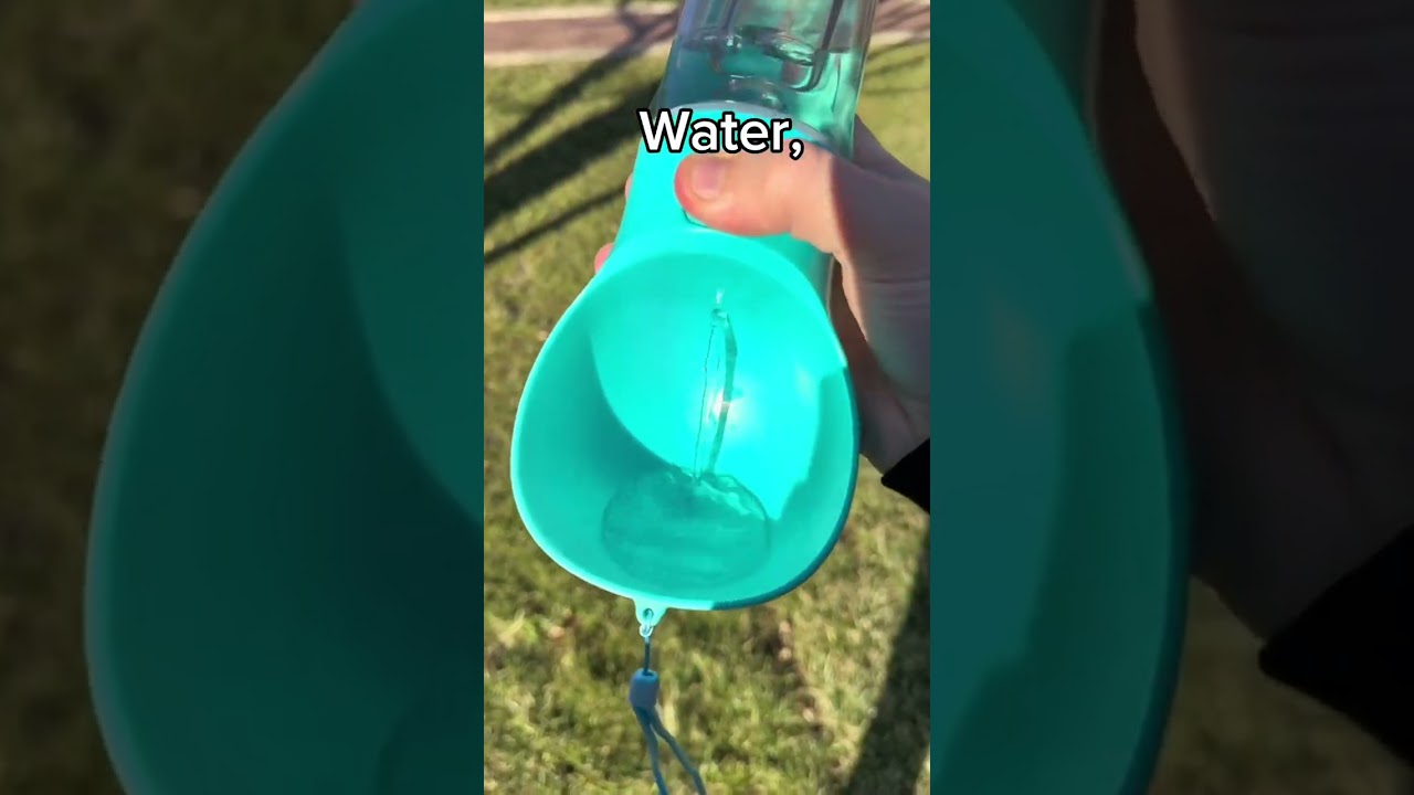 Check this AMAZING 4 in 1 Pet Water Bottle