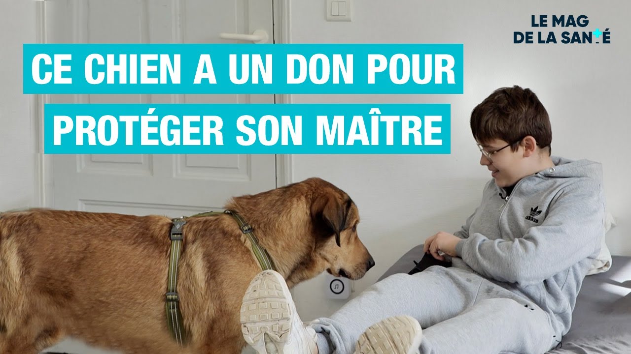 🦮 🚨 Teaser In Vivo : CHIENS soignants - Allo Docteurs