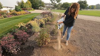 Digging Up and Moving Plants, Fertilizing the Lawn & Boxwood Trimming! 🌿😁🌾 // Garden Answer