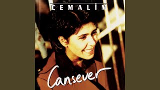 Şehidin Mektubu - Cansever