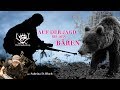 Auf der Jagd bei den Bären | mit Sabrina D. Bloch