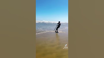 Drag netting New Zealand