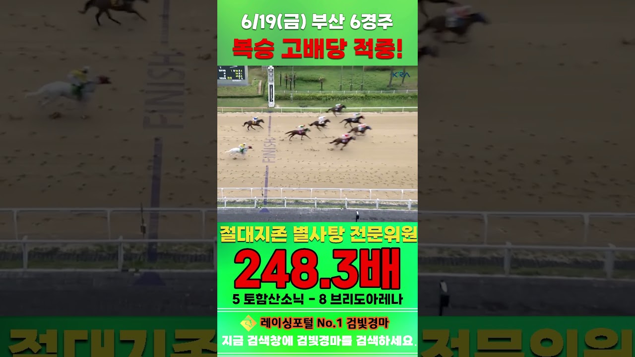 [부산 경마] 6월 19일 금요 6경주 절대지존 별사탕 전문위원 복승 고배당 적중 #경마 #horse #하이라이트 #automobile #한국마사회 #riding #뉴스 #게임