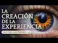 Audiolibro la creacin de la experiencia por jacobo grinberg    quin soy yo