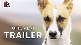 Gump - pes, který naučil lidi žít (2021) - Trailer / Karel Roden, Boleslav Polívka