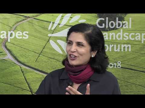 Tracking progress - Jyotsna Puri of Green Climate Fund at GLF Bonn 2018