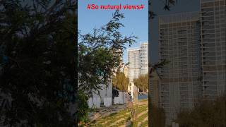 nutural views wow #80smusic
