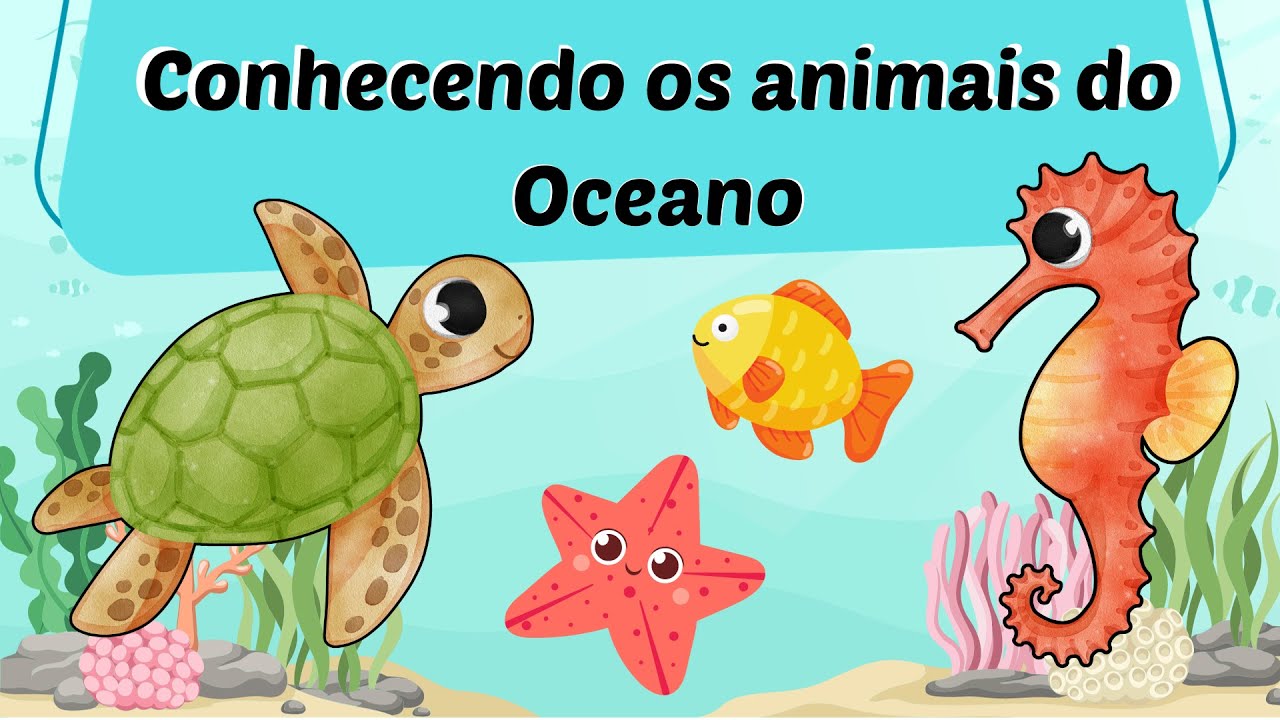 Conhecendo os Animais do Oceano – História Completa Por… — Transcript