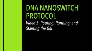 DNA Nanoswitch Protocol Video 5: DNA Nanoswitch Protocol – Pouring, Running and Staining the Gel